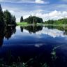 artleo.com-11764